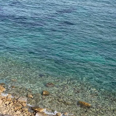 Elvira Manzanera-calpe